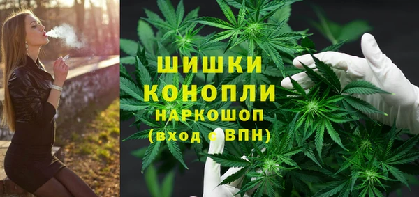 дмт Белокуриха