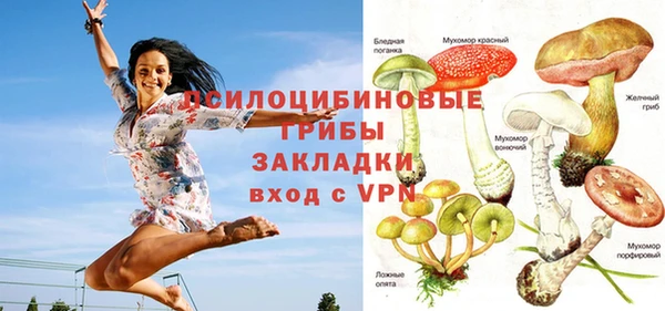 дмт Белокуриха